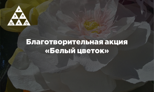 Благотворительная акция «Белый цветок»