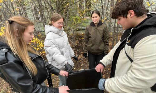 Благоустройство территории колледжа