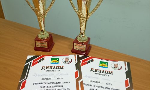 Соревнования по настольному теннису