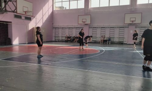 Спортивное соревнование по волейболу