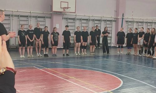 Спортивное соревнование по волейболу