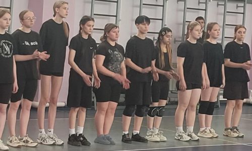 Спортивное соревнование по волейболу