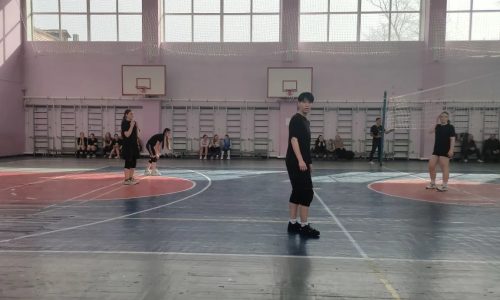 Спортивное соревнование по волейболу